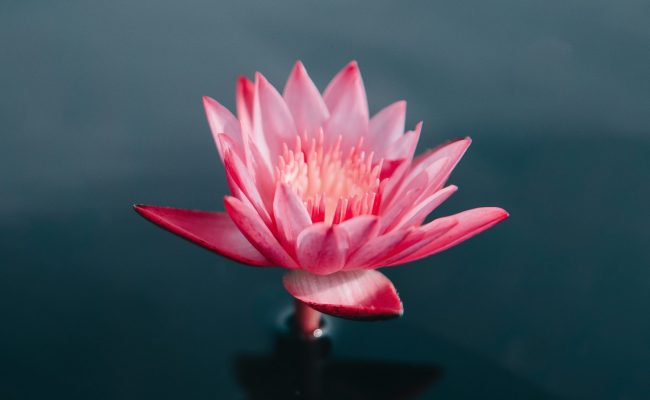 saffu-A7RzCegedb4-unsplash